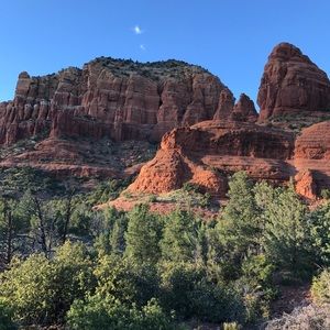 Meet your Posher, Dalia